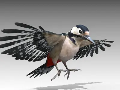 Woodpecker in flight Low-poly 3D model