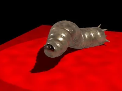 Maggot Rigged 3D model