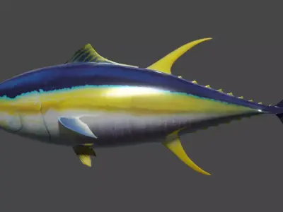 Yellowfin Tuna Rigged Hi and Low Poly Versions Low-poly 3D model