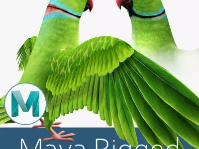 Parrot  bird Low-poly 3D model