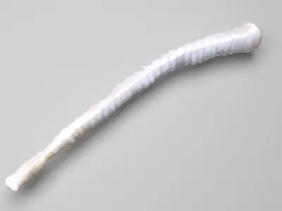 Tapeworm 3D model