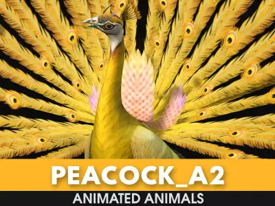 Peacock A2 Free low-poly 3D model