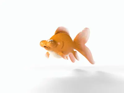 Orange gold fish Low-poly 3D model