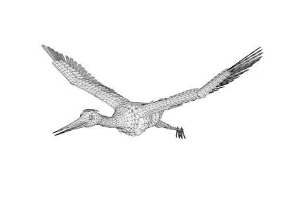 Stylized Stork - Animated Model 3D model