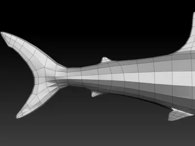 3D SHARK Low-poly 3D model