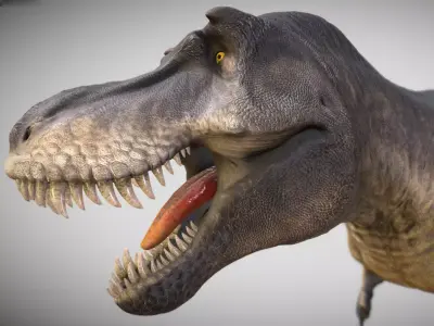 Tyrannosaurus rex Black Beauty Low-poly 3D model