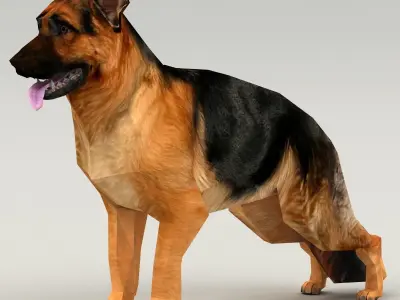 germanshepherd dog GSD  Low-poly 3D model