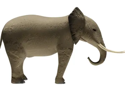 Elephant 3D Model Rigged and Animated Low-poly 3D model