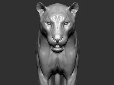 Tiger VFX ULTRA Cinematic Realistic Zbrush Sculpt 1 3D model