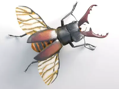 Stag Beetle insect Low-poly 3D model