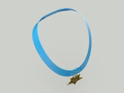 Medal of Honor Navy Worn 3D model
