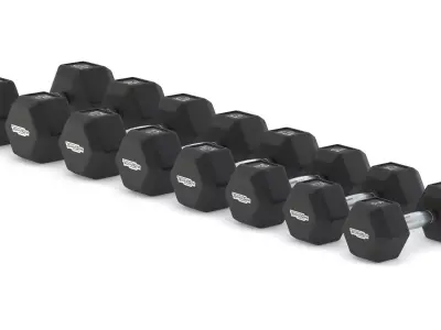 Technogym Hexagon Dumbbell 3D model