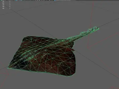 Clearnoseskate Low-poly 3D model