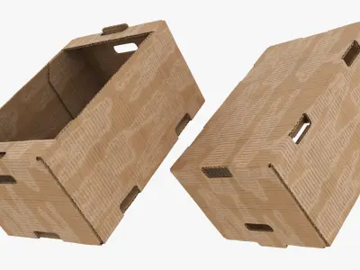 Fruit Cardboard Box Dusty Collection 3D model