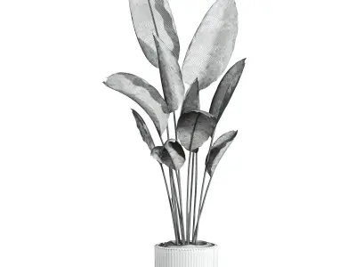 birds of paradise 3D model