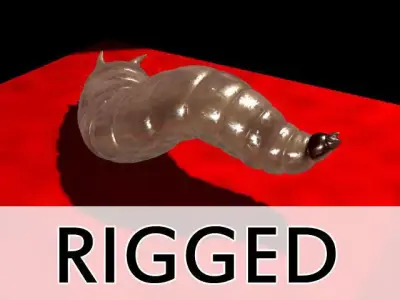 Maggot Rigged 3D model