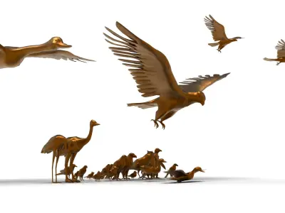 Bird Collection low poly game ready Low-poly 3D model