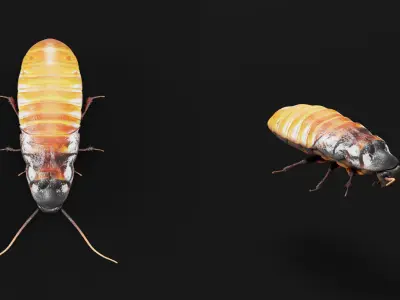 Madagascar Hissing Cockroach Low-poly 3D model