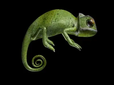 Chameleon Low-poly 3D model