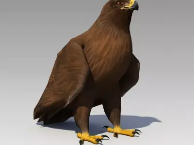 Golden Eagle Animated Low-poly 3D model