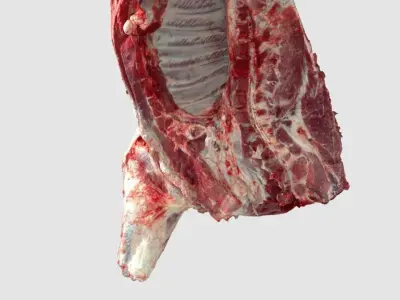 Pork Body Half 2 Low-poly 3D model