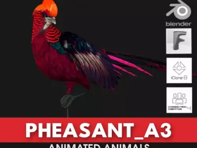 Pheasant A3 3D model