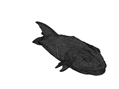 Realistic Barracuda 3D Model Low-poly 3D model