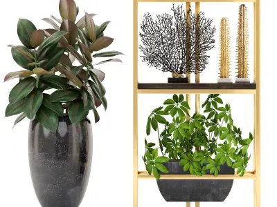 Rack with the decor of figurines and plants 3D model get