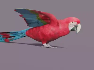 MACAW LOWPOLY parrot with wings spread Low-poly 3D model