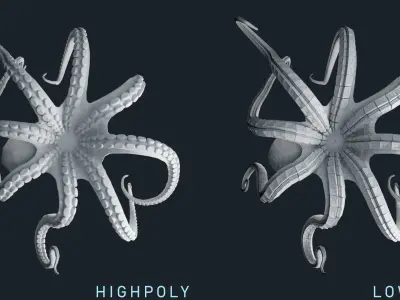 Octopus Base Mesh Low-poly 3D model
