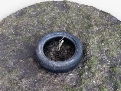 Photorealistic 3D scan of a tire planter for a tree saplin Free low-poly 3D model