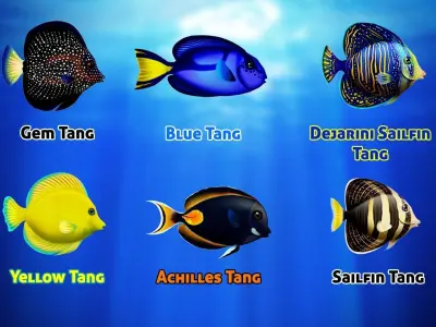 Cartoon Tang Fish Low-poly 3D model