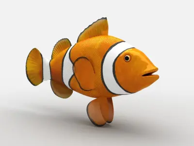 Clownfish Amphiprioninae Nemo Low-poly 3D model
