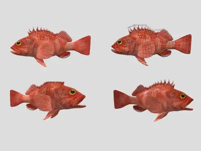 Fish Collection Animated - Game Ready Pack 5 Low-poly 3D model