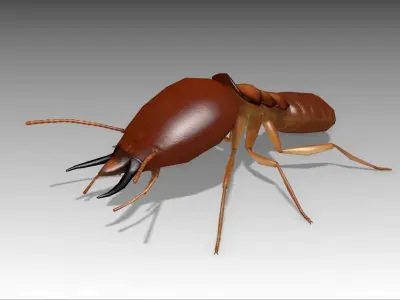 Termite ant Low-poly 3D model