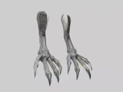 Falcon Talons Low-poly 3D model