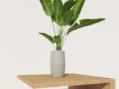Coffee table 3D model Low-poly 3D model