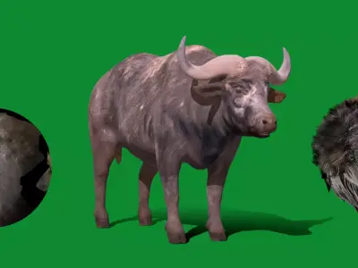 African Buffalo Free low-poly 3D model