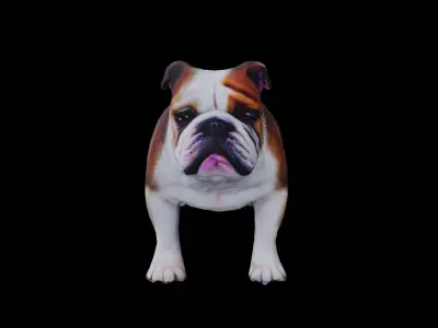 Realistic bulldog low poly  Low-poly 3D model