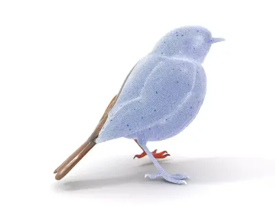 Vibrant Robin Bird model pack Low-poly 3D model