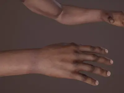 FPS Arms 02 Rigged Free 3D model