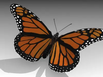 Monarch butterfly Low-poly 3D model