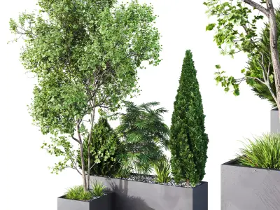HQ Tree and bush garden box outdoor VOL 03 Free 3D model