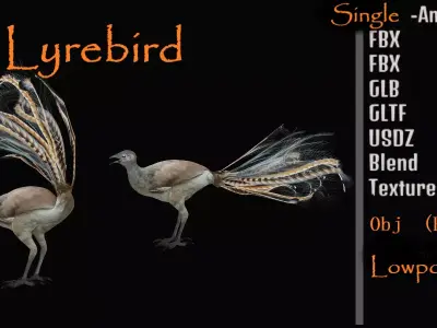 Lyrebird Low-poly 3D model