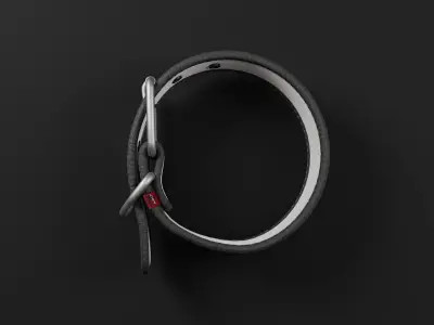 Dog Collar  Low-poly 3D model