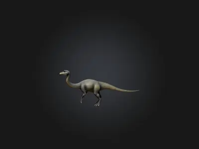 Realistic Diplodocus Model Low-poly 3D model