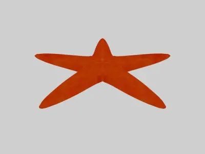 Starfish 3D Model Low-poly 3D model