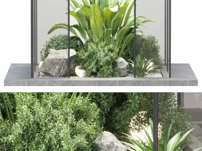 Indoor Plants Vol 321 3D Model Scene 3D model