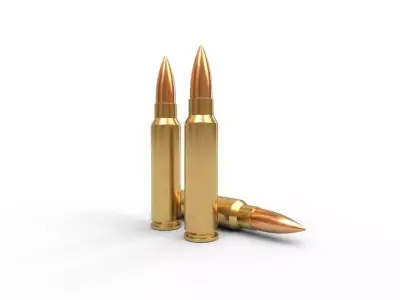 300 Savage Ammo Low-poly 3D model