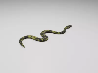 Snake Free low-poly 3D model